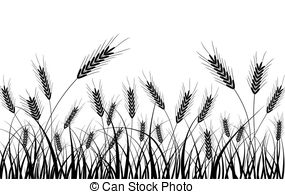 Wheat field Clipart and Stock Illustrations