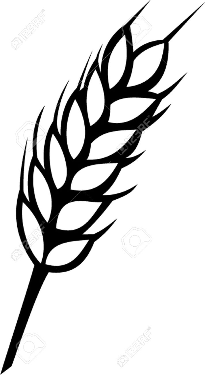 Wheat Clipart Black And White
