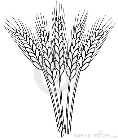 Wheat clipart black and white