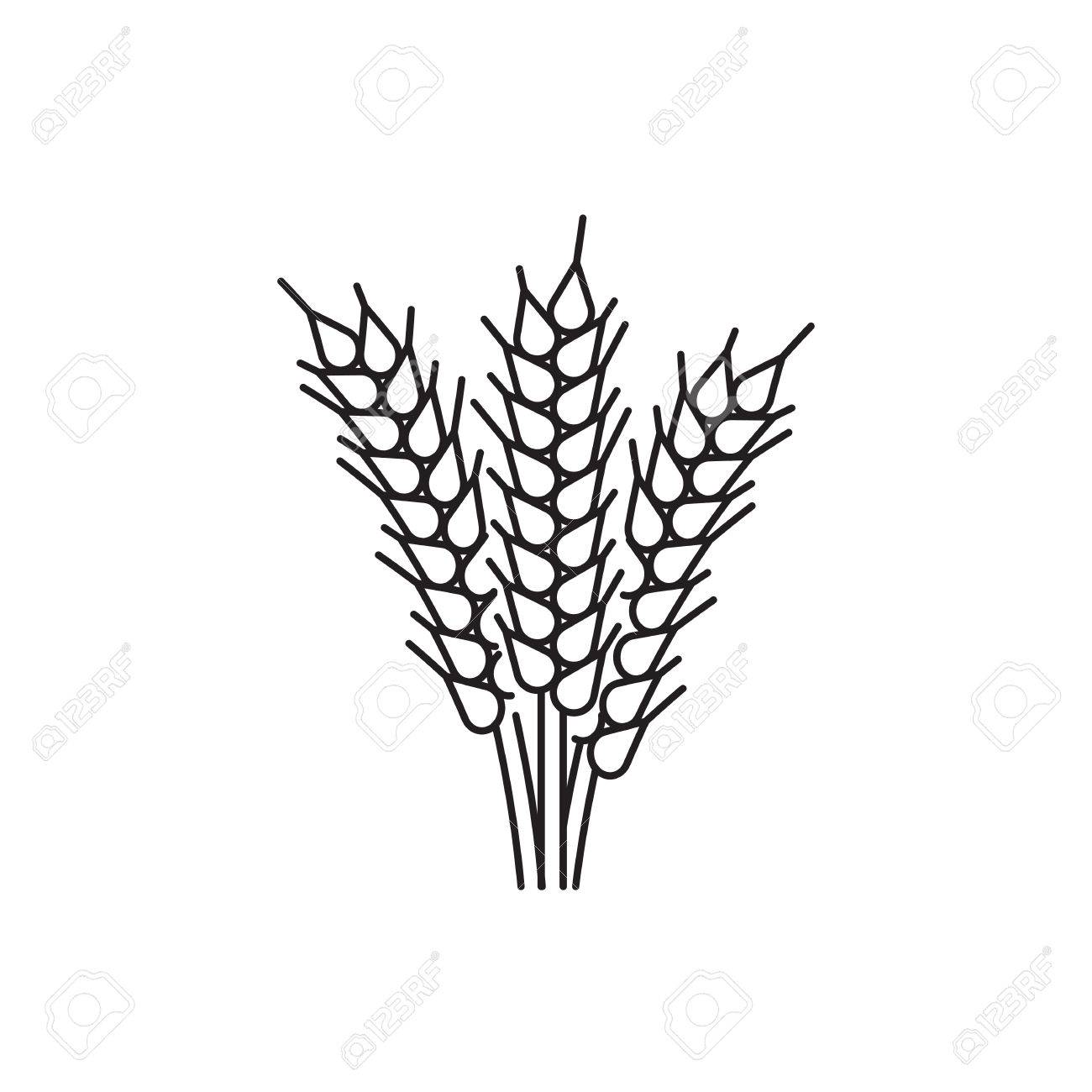 Free Wheat Clipart outline, Download Free Clip Art on Owips
