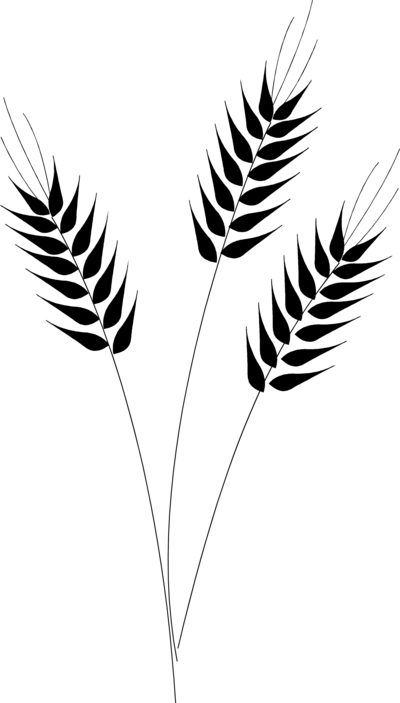 Wheat silhouette clipart.