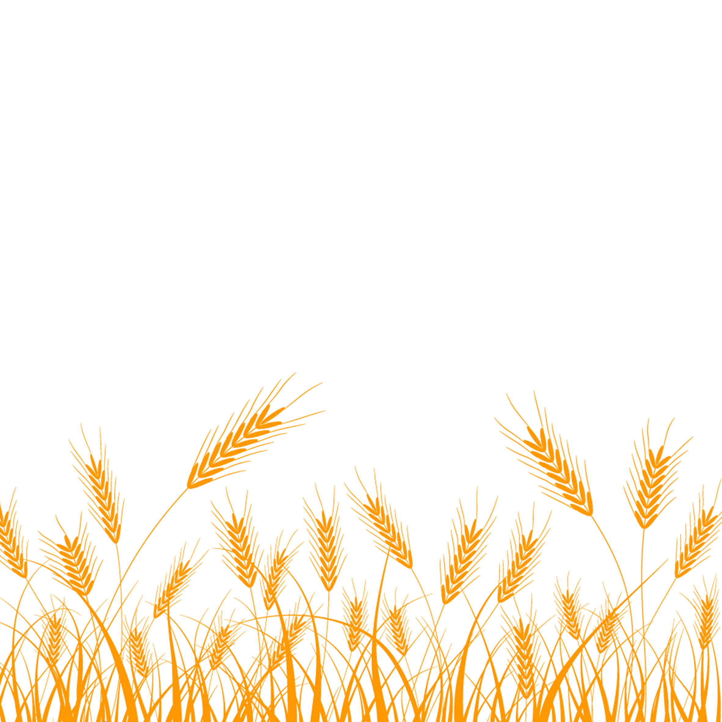 Wheat silhouette clip.