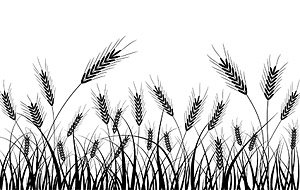 Free Wheat Silhouettes Clipart and Vector Graphics