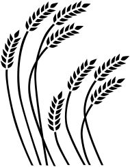 Simple clipart wheat.
