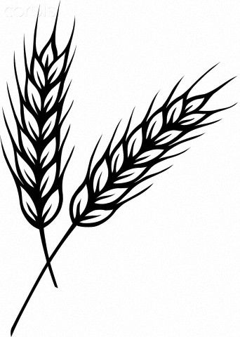 Drawings wheat stalks.