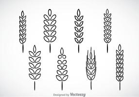 Wheat Stalk Free Vector Art