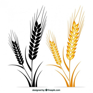 Free Clipart Of Wheat Stalks
