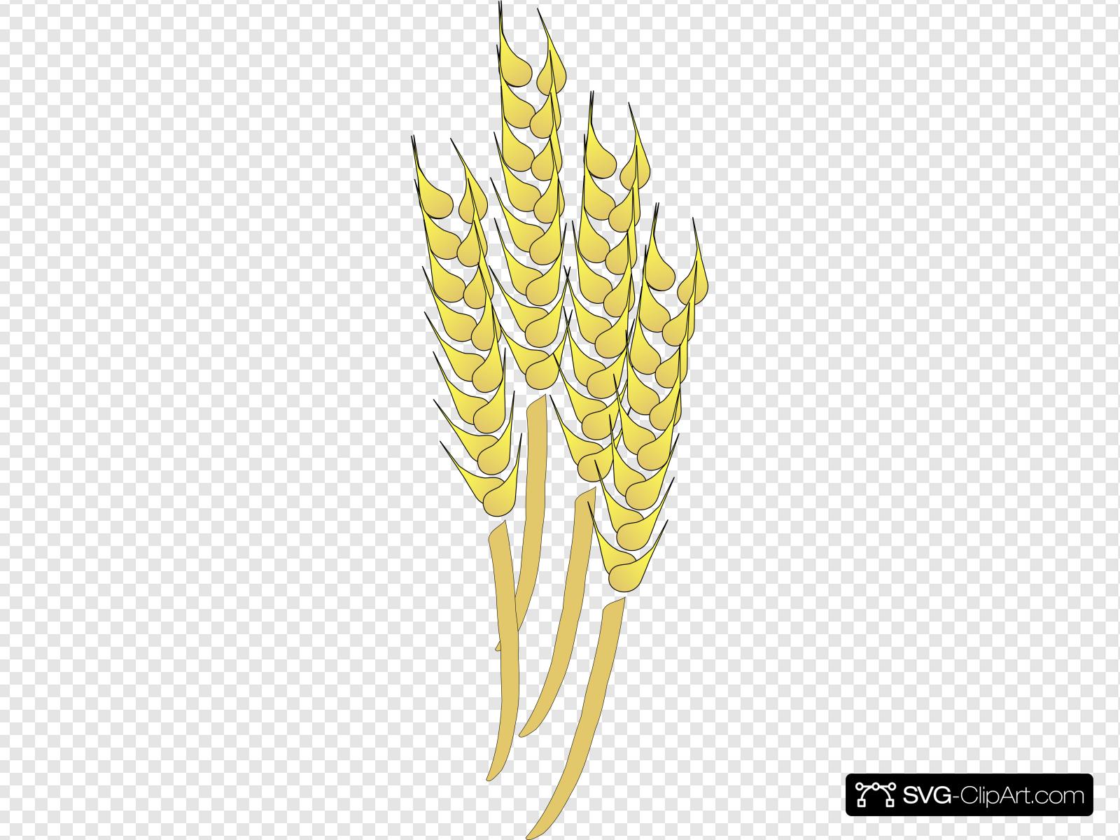 Wheat Clip art, Icon and SVG