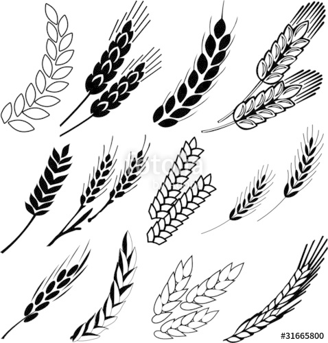 wheat clipart svg