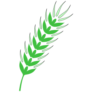 WHEAT clipart, cliparts of WHEAT free download