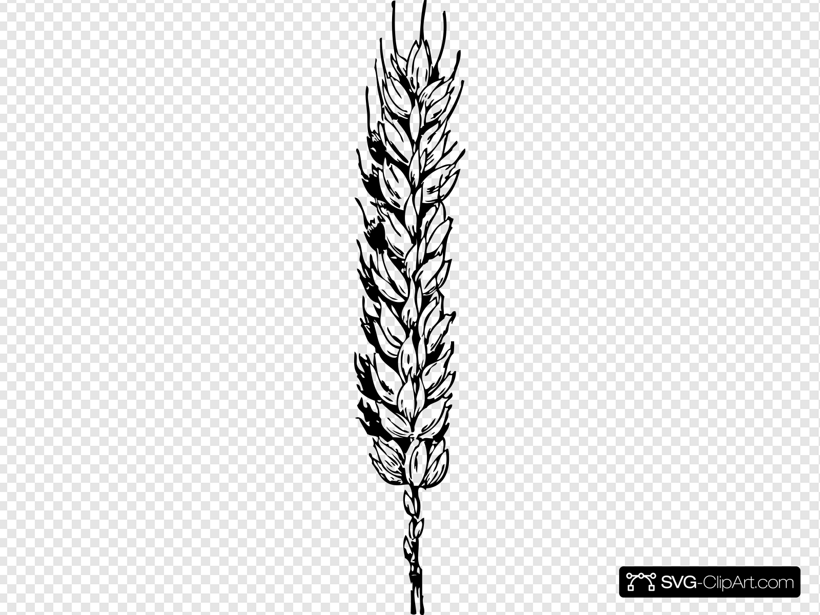 Wheat Clip art, Icon and SVG
