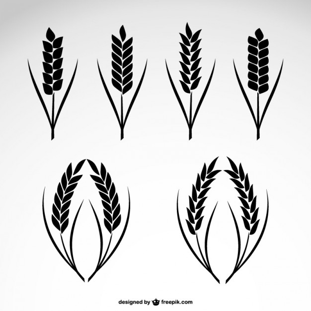 Wheat collection icons.