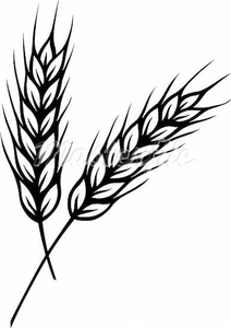 Free Wheat Stalk Clipart