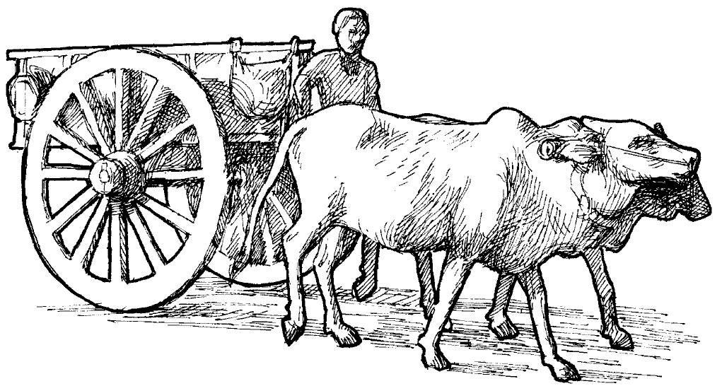 Bullock cart clipart black and white