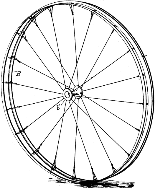 Side View of a Vehicle Wheel