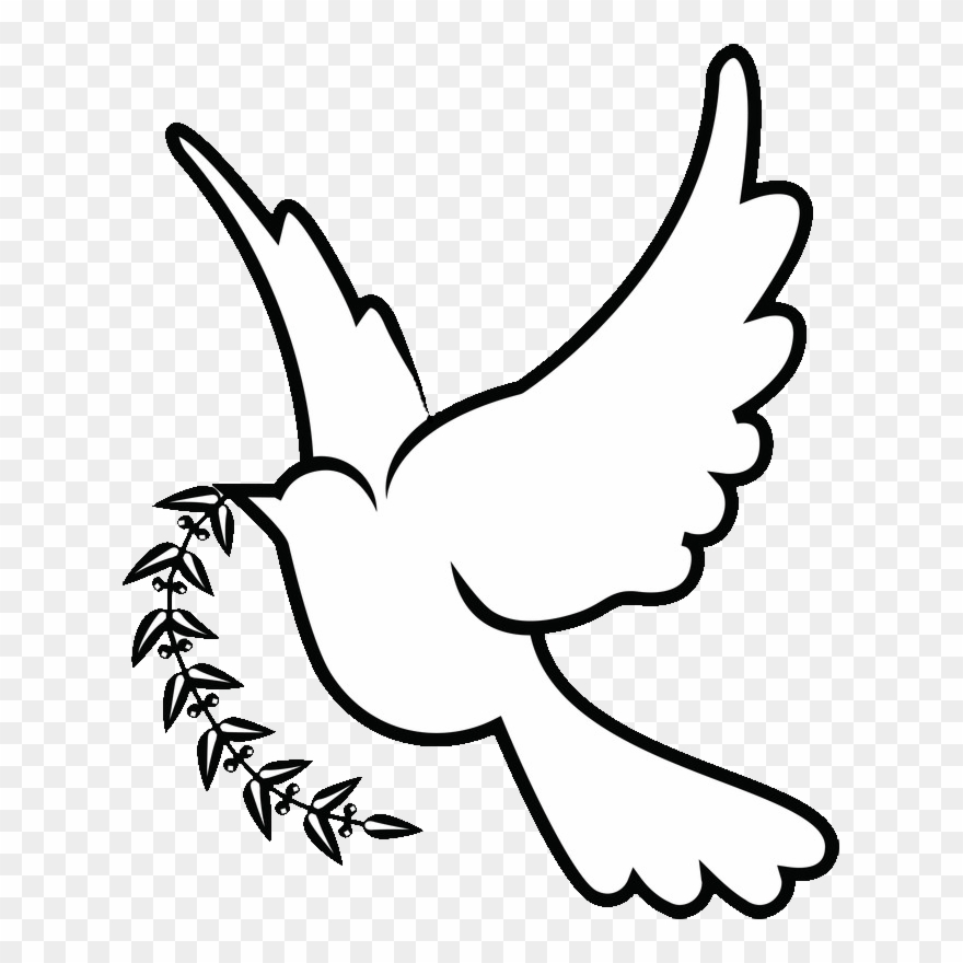 Doves drawing png.