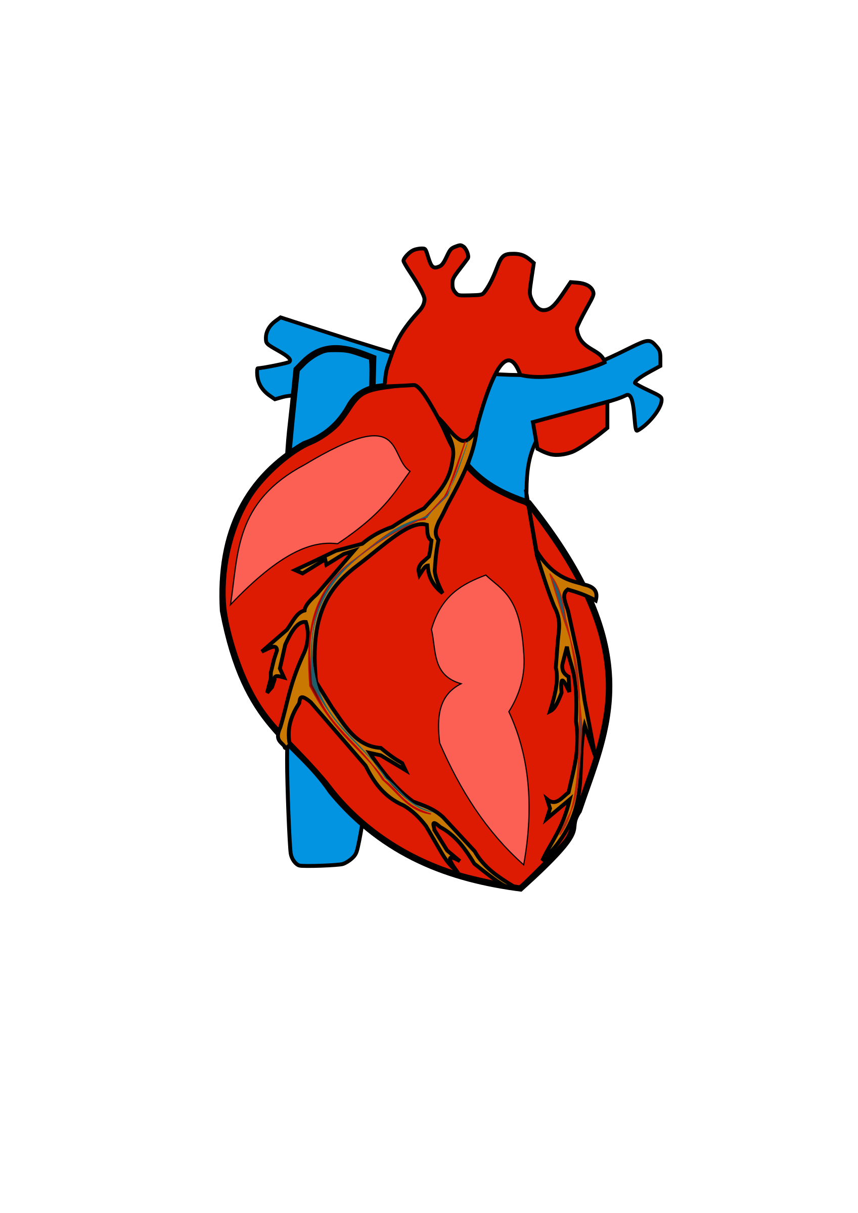 Real heart human heart clipart clipground