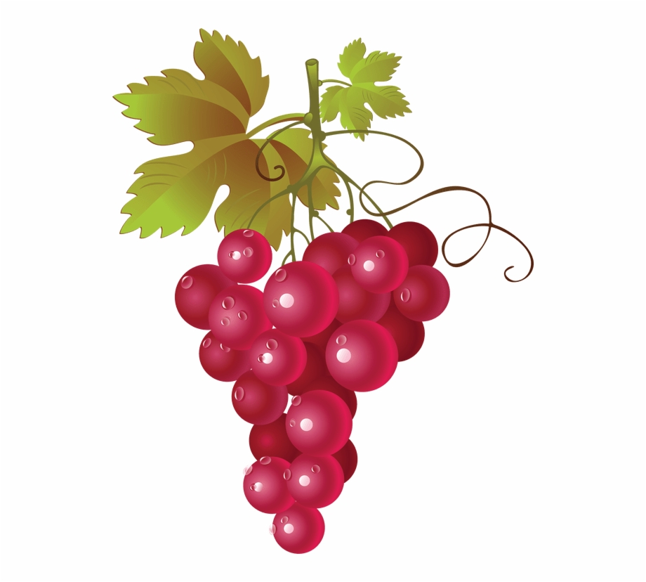 Hop grape vines.