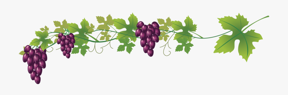 Wine Common Grape Royalty Free Clip Art