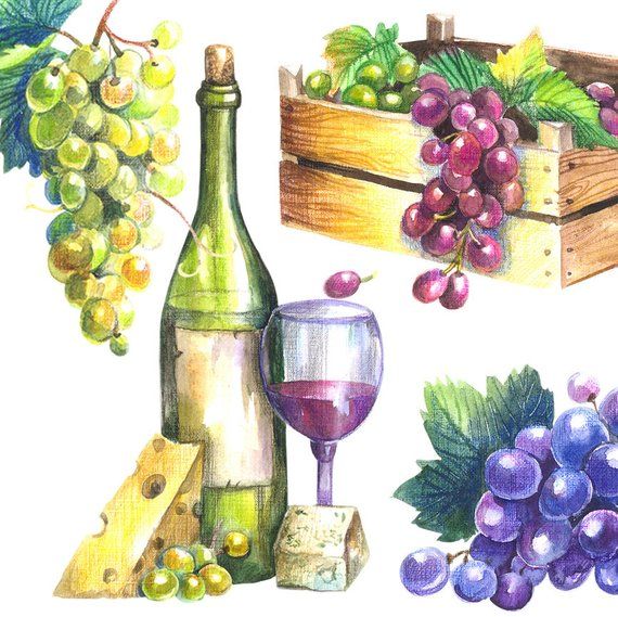 Wine watercolor clipart.