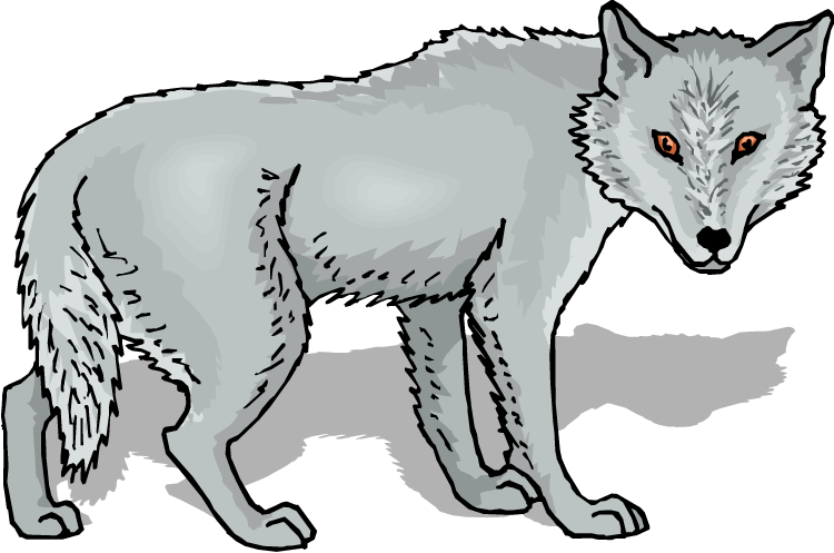 Gray wolf clip art free clipart images