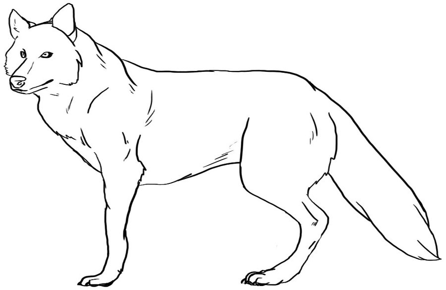 Free wolf outline.