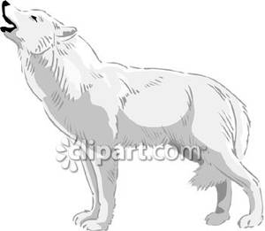 Realistic Howling Wolf
