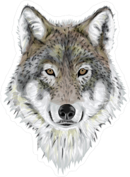 Realistic wolf sticker.
