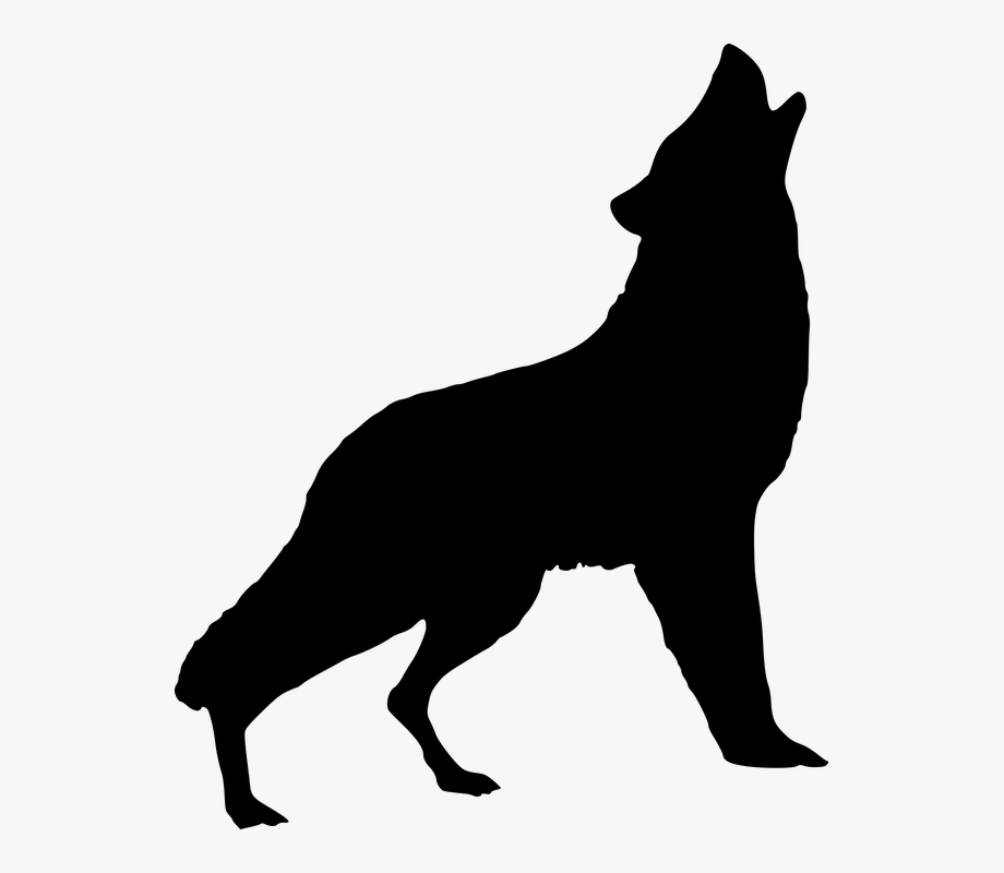Wolf Howling Png