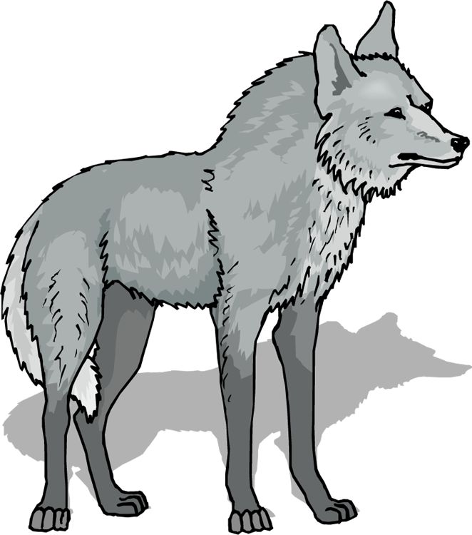 Free Wolf Clipart Transparent, Download Free Clip Art, Free