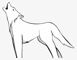 White wolf png.