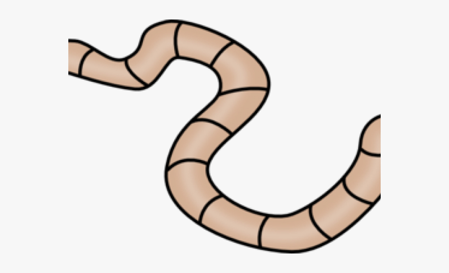 We Present To You A Worm Clipart Annelida