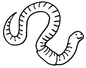 Wormclipartwhiteworm worm clipart.