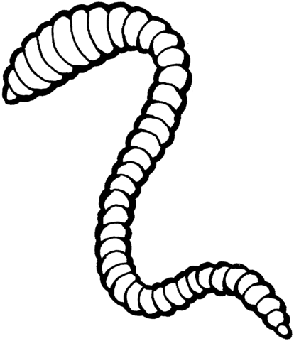 Earthworm coloring page.