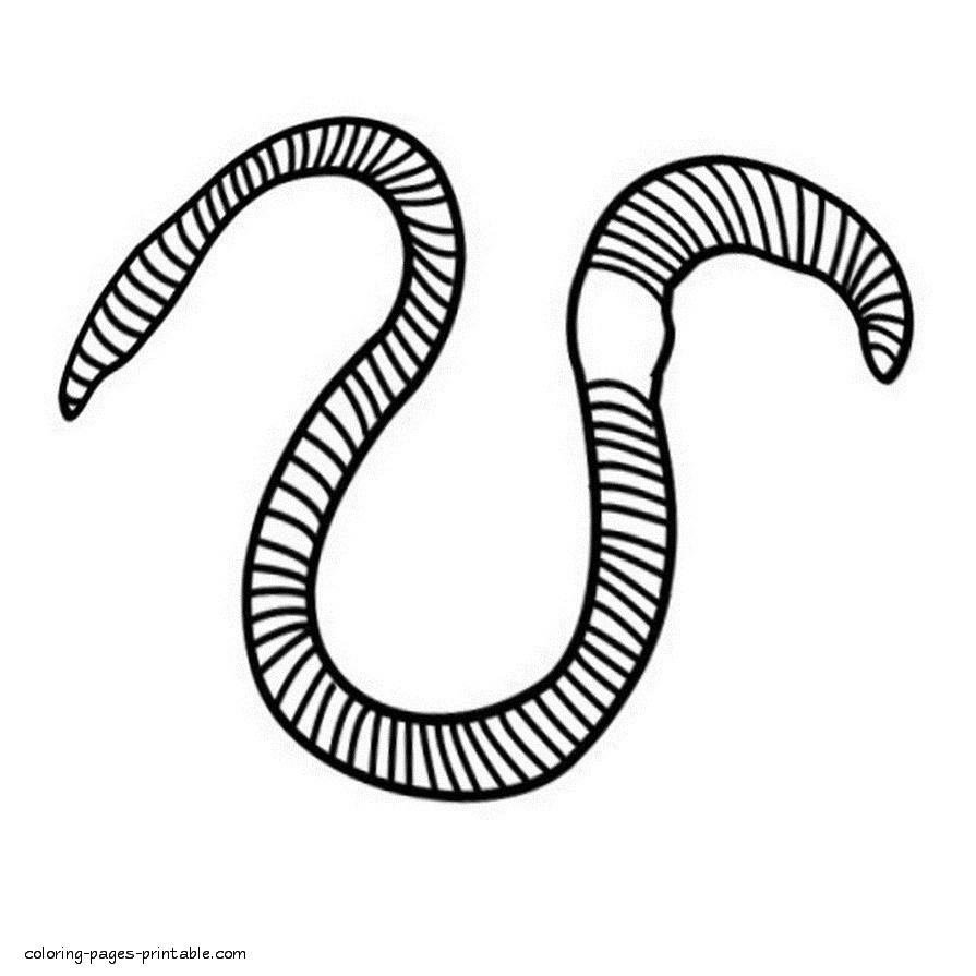 Worm coloring pages.