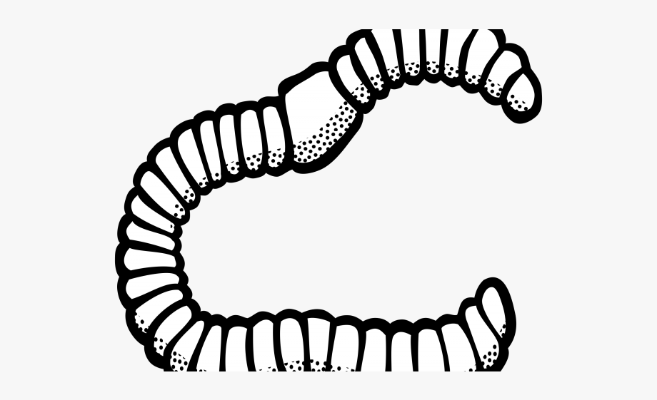 Worms Clipart Earthworm