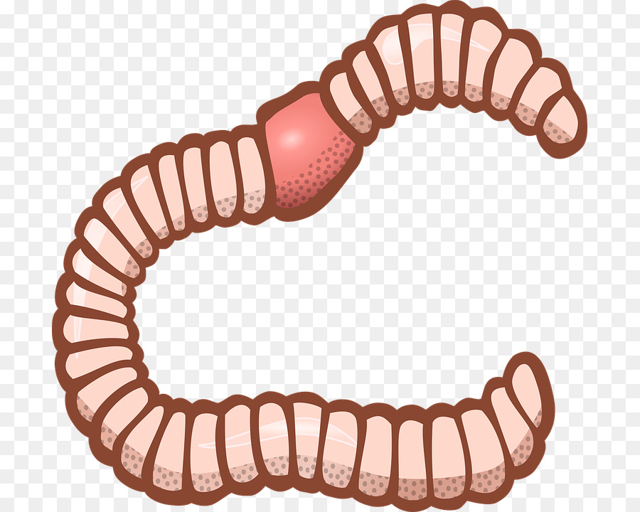 Worm clipart worm.