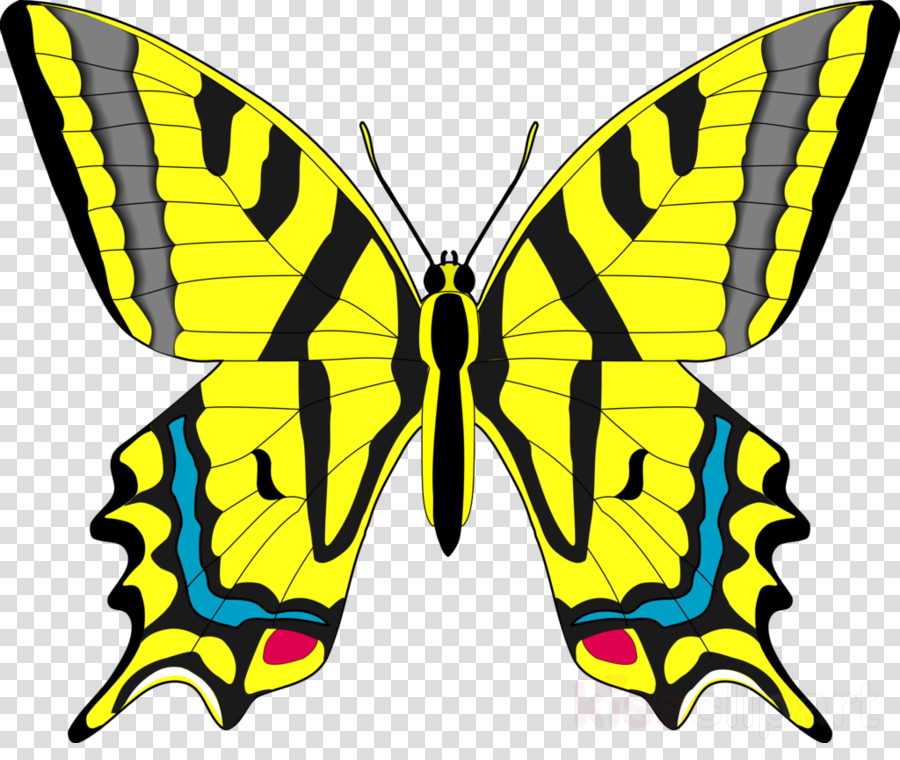 yellow clipart butterfly
