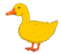 Free Duck Clipart