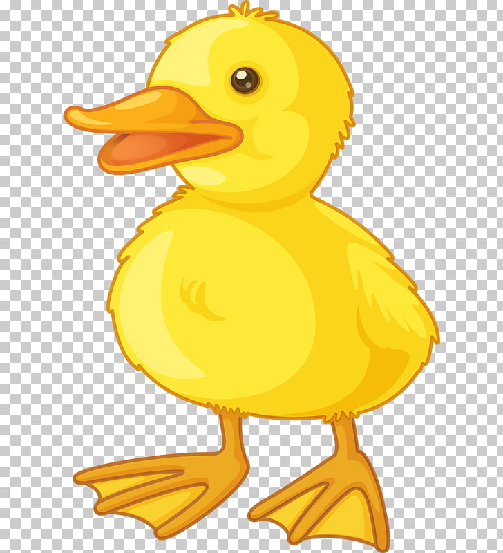 Duck , Cute little yellow duck PNG clipart