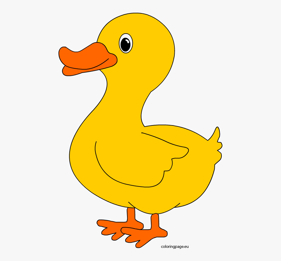 yellow clipart duck