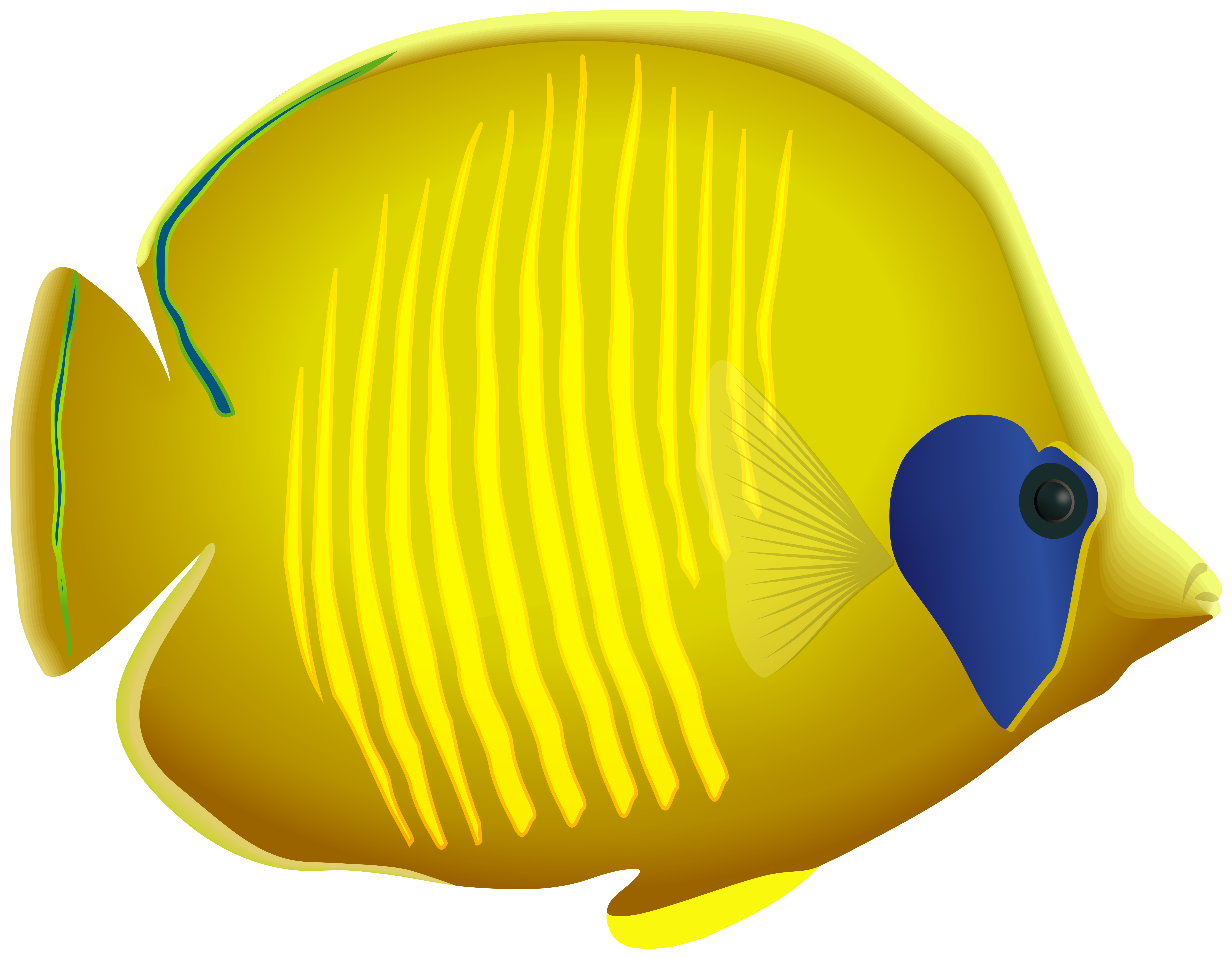 Yellow fish png.