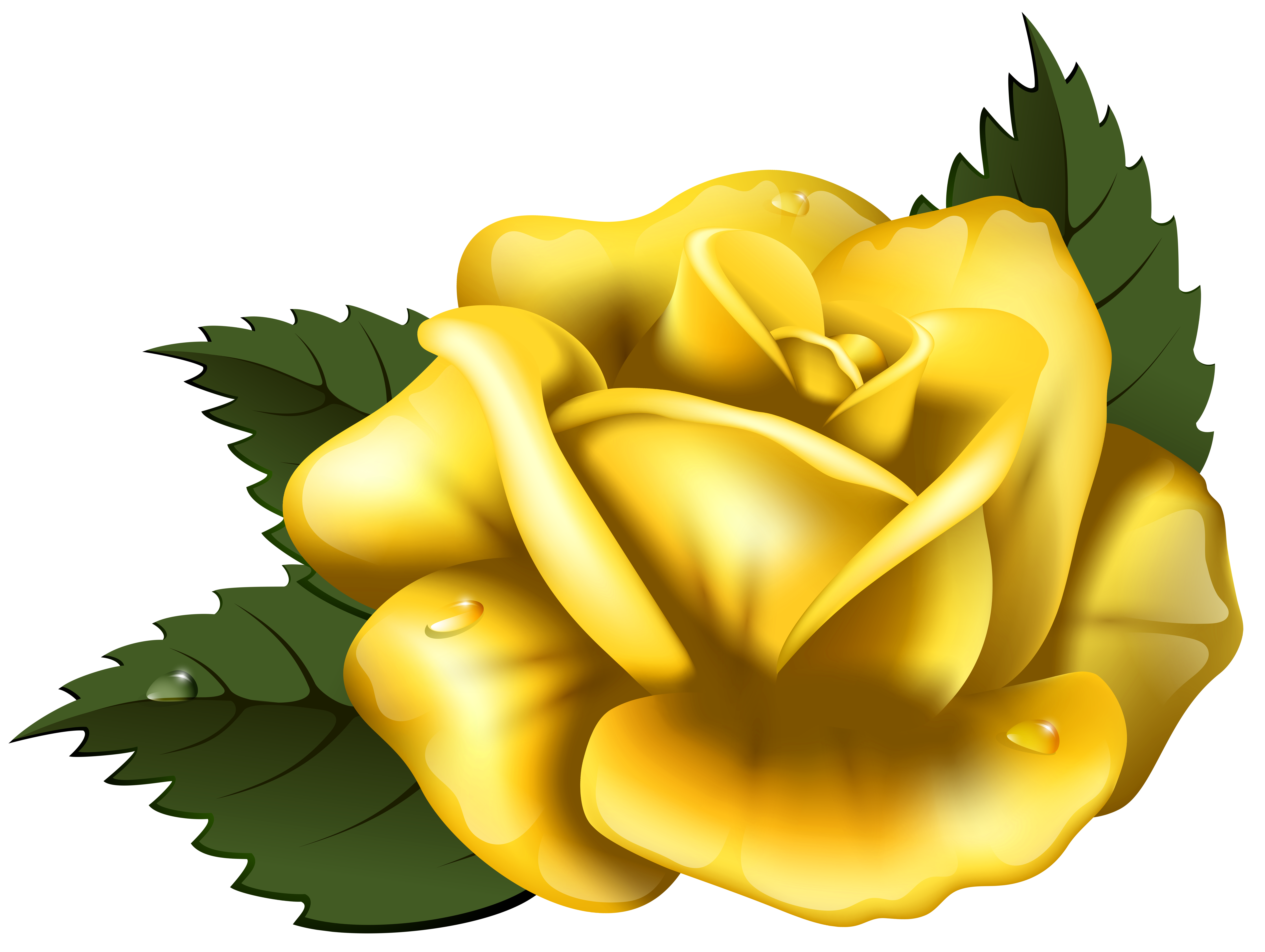 Large yellow rose.