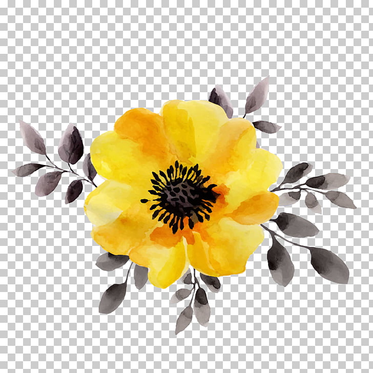 Flower yellow watercolor.