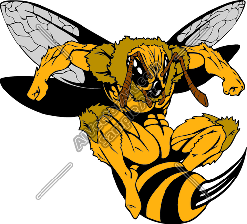 yellow jacket clipart cute