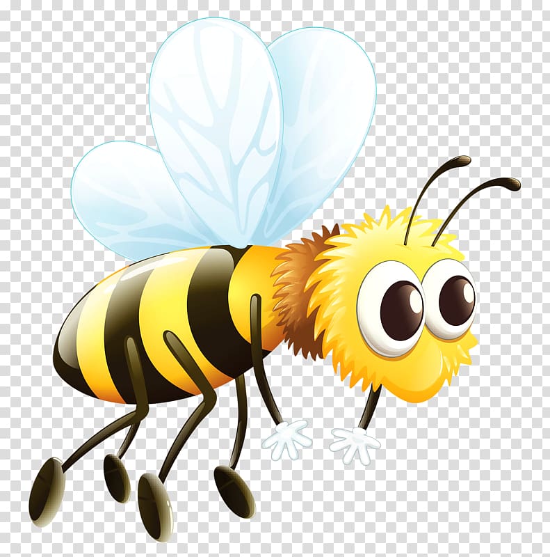 Western honey bee Worker bee Queen bee, bee transparent