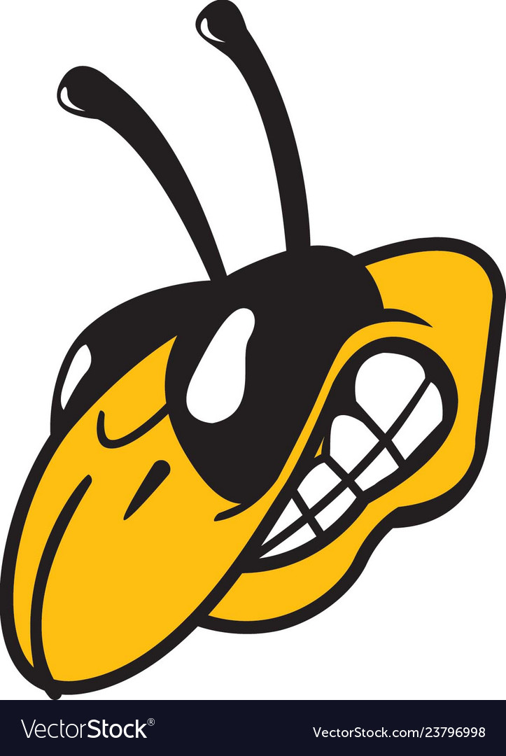 Yellow jacket head logo mascot vector image