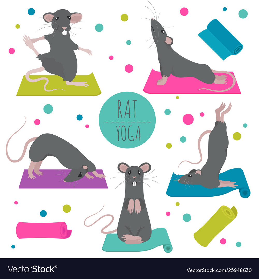 Rat yoga poses and exercises cute cartoon clipart