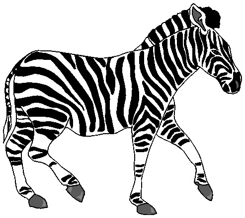 Free zebra cliparts.