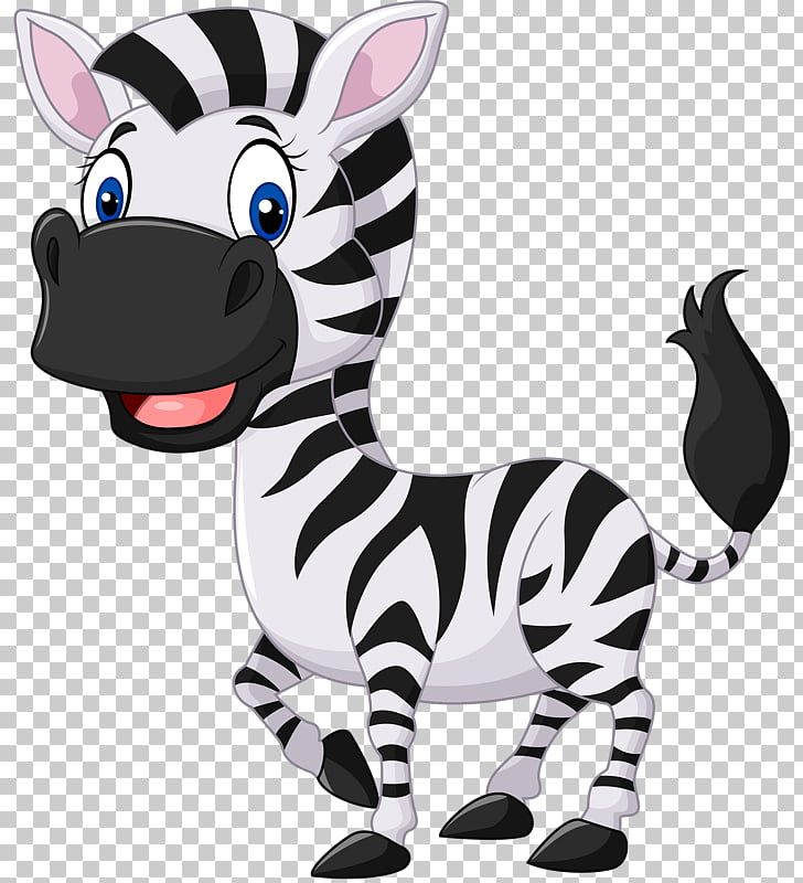 Zebra , safari, zebra animated illustration PNG clipart